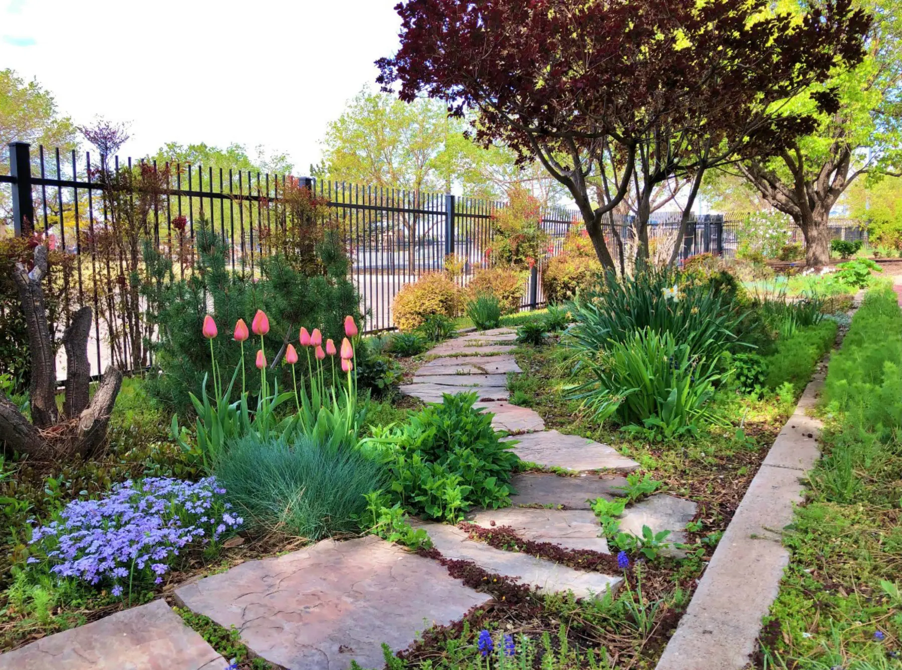 Albuquerque Garden Center garden setting