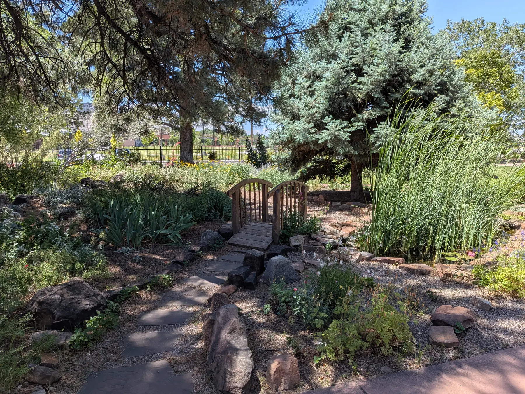 Garden at Albuquerque Garden Center